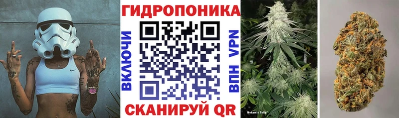 Марихуана Amnesia  Купить закладки  Еманжелинск 